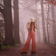 Model-in-forest