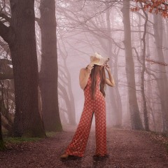 Model-in-forest
