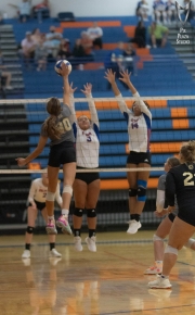 Volleyball-PixPlaza-0582