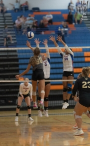 Volleyball-PixPlaza-0583