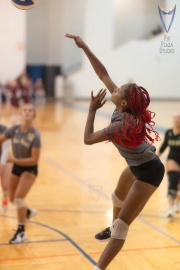 Volleyball-PixPlaza-0915