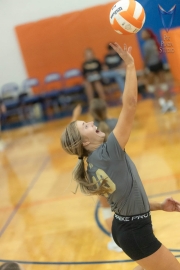 Volleyball-PixPlaza-1059