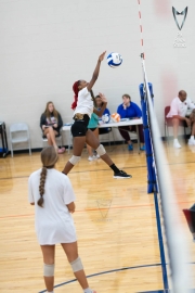 Volleyball-PixPlaza-1518