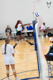 Volleyball-PixPlaza-1519
