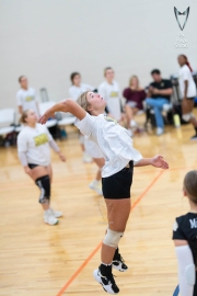 Volleyball-PixPlaza-1520