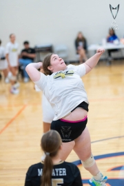 Volleyball-PixPlaza-1526