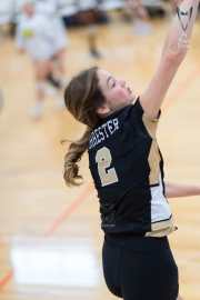 Volleyball-PixPlaza-1534