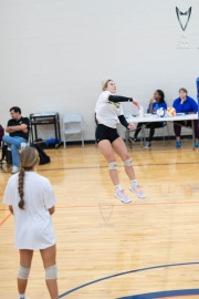 Volleyball-PixPlaza-1536