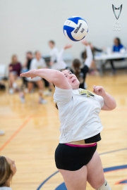 Volleyball-PixPlaza-1546