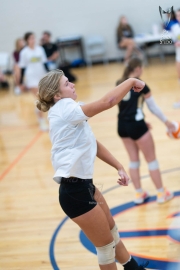 Volleyball-PixPlaza-1551