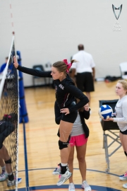 Volleyball-PixPlaza-1474