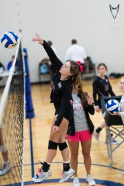 Volleyball-PixPlaza-1475