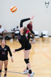 Volleyball-PixPlaza-1490