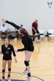 Volleyball-PixPlaza-1491