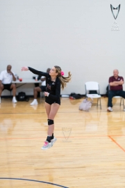 Volleyball-PixPlaza-1492