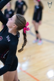 Volleyball-PixPlaza-1495