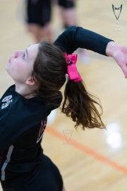 Volleyball-PixPlaza-1503