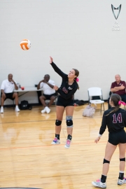 Volleyball-PixPlaza-1508