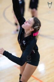Volleyball-PixPlaza-1511
