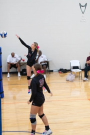 Volleyball-PixPlaza-1515