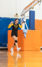 PixPlaza-volleyball-7084
